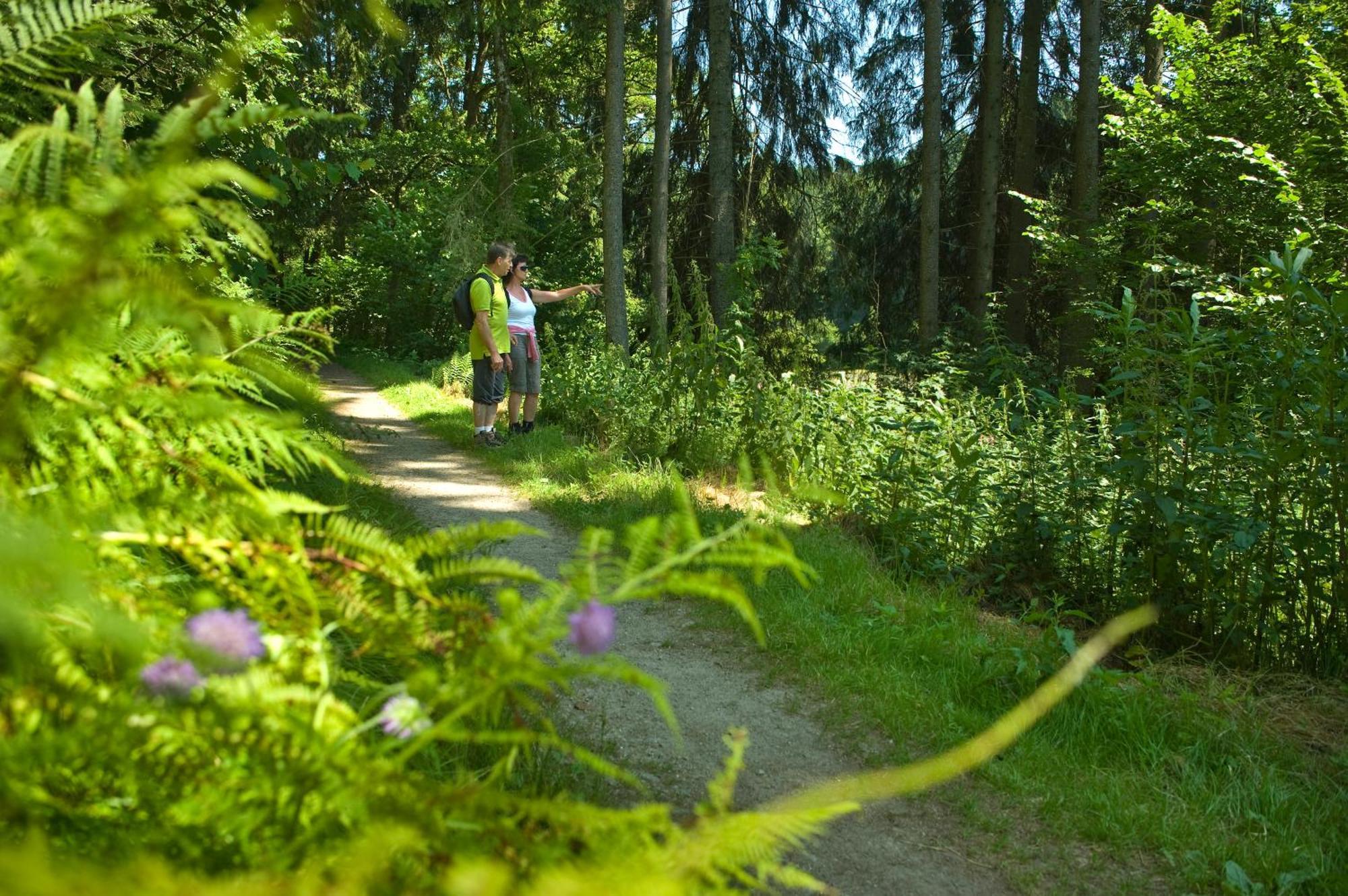 Pension Bergstub'N Saldenburg Екстер'єр фото